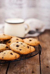 Homemade freshly baked chocolate chips cookies