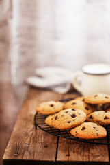 Homemade freshly baked chocolate chips cookies
