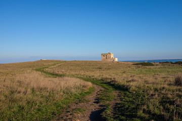 XVI Century antique defensive tower Torre Guaceto along the coast of Apulia. Italy