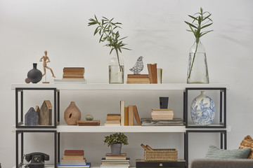 white bookcase and decorative modern objects and plants