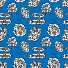 Seamless background of the plant, animal and bacterial cells