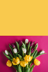 top view of fresh spring tulips for international womens day