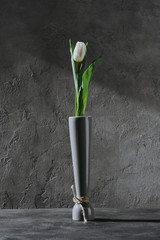 white spring tulip in grey vase on grey concrete surface