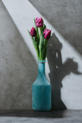 purple spring tulip flowers in blue vase on concrete surface with shadow