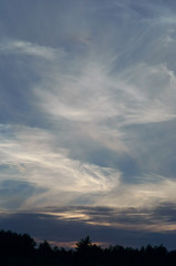 Sunset over the field. Red and purple sunbeams at sunset. The sun is setting over the horizon.