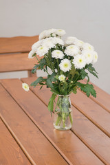 chrysanthemum white flowers