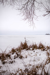 Photo of snowy field with dry grass