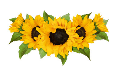 Yellow sunflowers and green leaves in wave summer arrangement