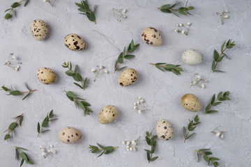 Happy Easter  or spring greeting card pattern. made of quail eggs and leaf sprigs of eucalyptus. On a gray concrete background. Flat lay