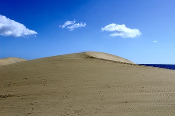 Dunes view