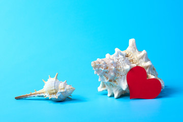 Two seashells and a red heart