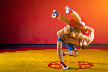 Two young men in blue and red wrestling tights are wrestlng and making a suplex wrestling on a...