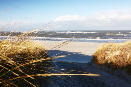 Küstenlandschaft Nordsee, Insel Langeoog