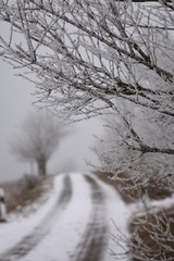 der weg ist das ziel