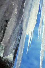 Obraz na płótnie Canvas Winter icicle Macro