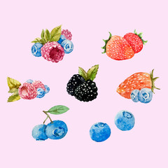 Watercolor berries vector set