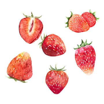 Watercolor strawberry vector set