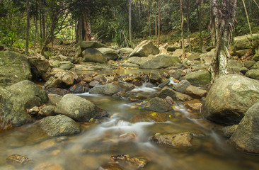 Beautiful water fall
