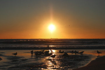 The ship and the sunset