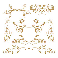 Vector hand drawn floral elements set.