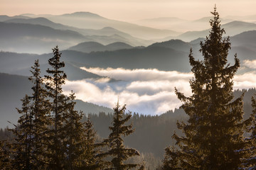 Cold winter morning in the mountain