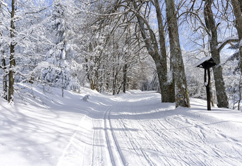 Winter mountain landscape. Trail to cross-country skiing on a mountain road,  trees covered with hoarfrost and snow, blue sky with white clouds.