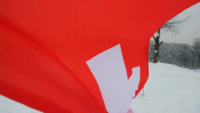 National flag of Switzerland waving in the wind with blurred mountains in the background