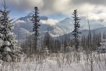 Beautiful winter scenery of the Tatra Mountains.