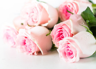 Pink rose flower at white stone table.