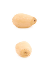 Single pine nut isolated