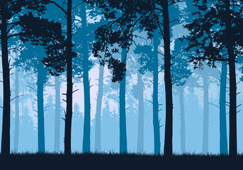 Vector illustration of a coniferous forest with trees and grass © Forgem