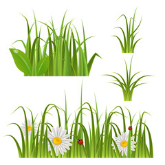Realistic vector green grass set.