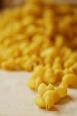 Homemade pasta made of hard wheat on the table