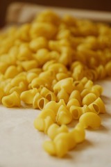 Homemade pasta made of hard wheat on the table