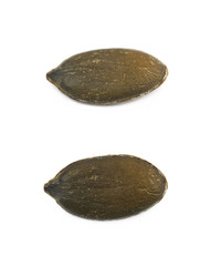 Single pumpkin seed isolated