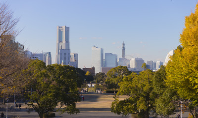 Obraz premium 横浜の山下公園