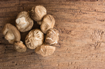 pile of raw shiitake mushroom on old and crack wooden board with copy space for text, top view. alternative healthy food and medical concept.