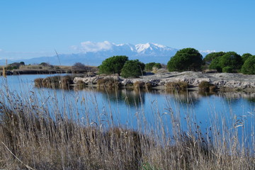 Obraz premium Paysage de montagne enneigé et mer