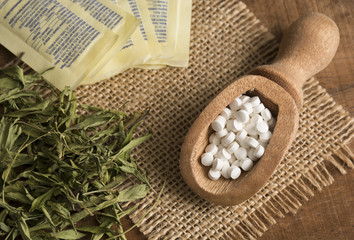 Stevia, sweetener - Stevia rebaudiana
