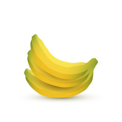 Colorful Banana Fruits on White Background. Vector