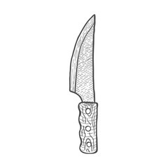 Hand Drawn Chef Kitchen Knife. Vector