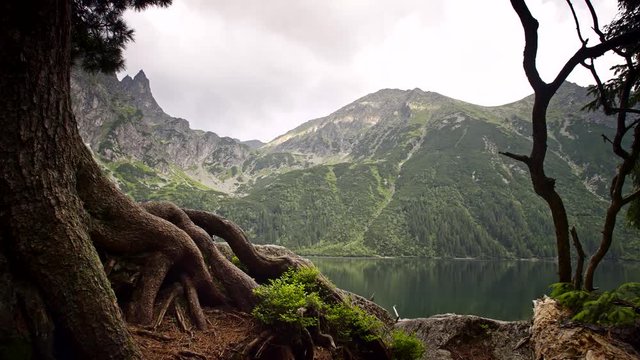 Timelaps camera slide of lake and mountains among the trees 4k HDR H264