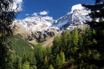 Bergtal mit Gipfel bei Sulden am Ortler