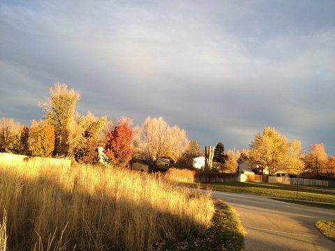 Bike Trail In City Park , Aurora, Colorado, USA