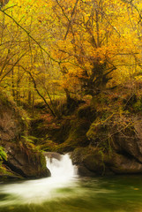 cascada de un rio en otoño