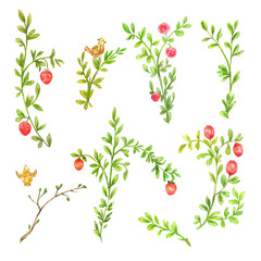 Green spring branches with pink flowers isolated on white. Set of watercolor floral elements