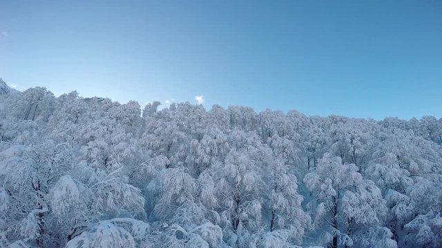 Горнолыжный курорт Роза Хутор. Сочи. Россия.