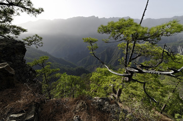 la Palma