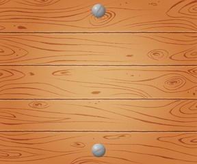 Wooden background. Wood plank texture