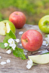 green red apples with flowers on wooden background